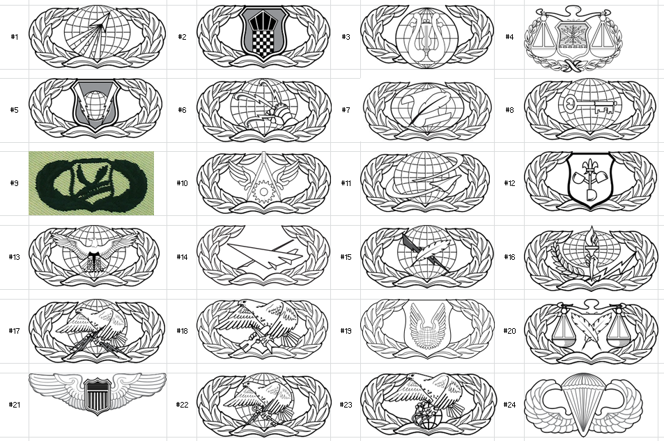 Air Force Basic Occupational Badges Quiz By c16sfrank
